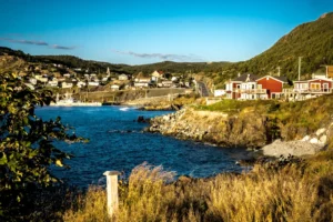 Portugal Cove-St. Philip's